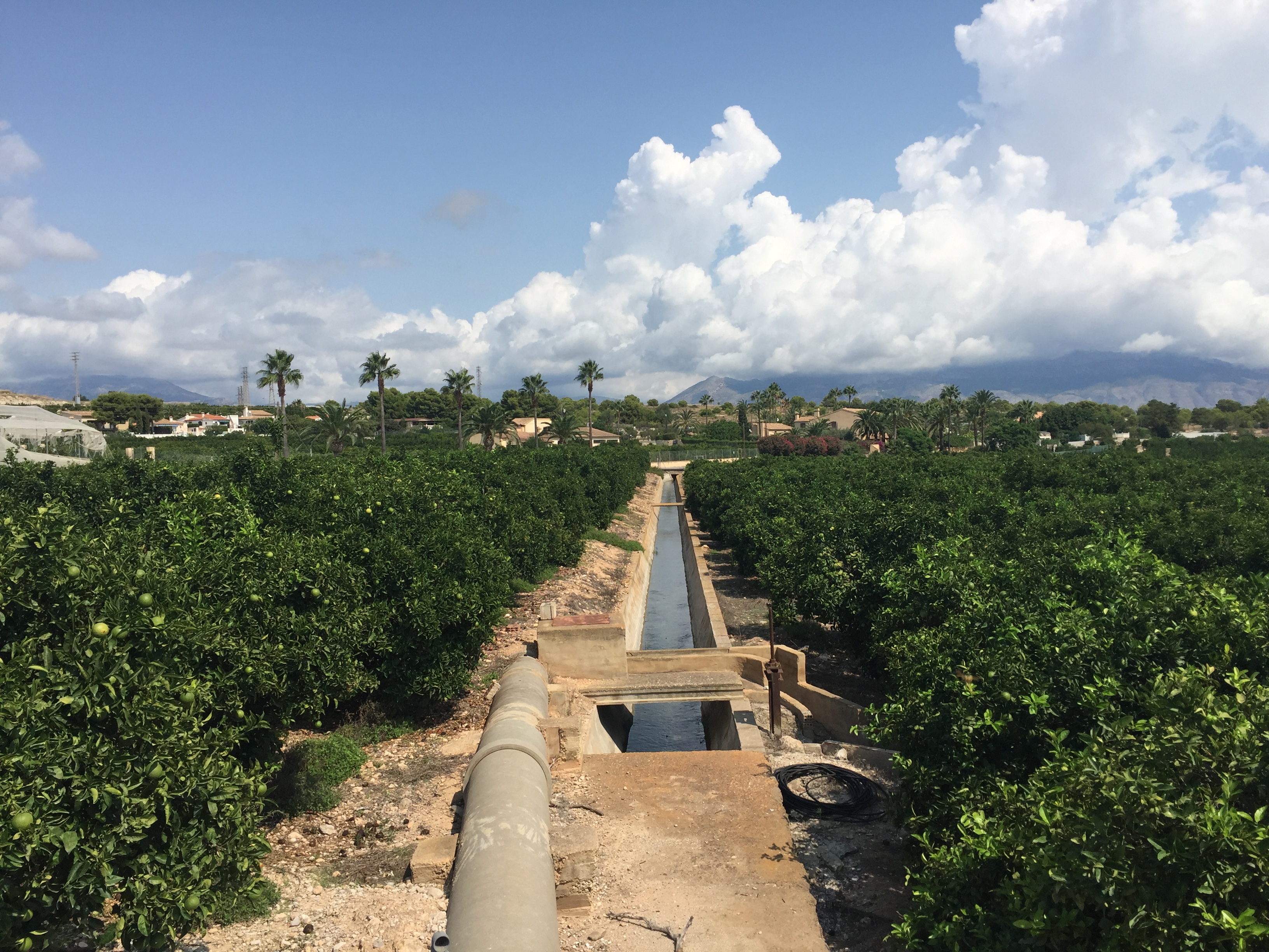 Infraestructura del Canal Bajo Algar